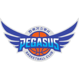 大邱石油公社飞马直播